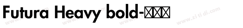 Futura Heavy bold字体转换